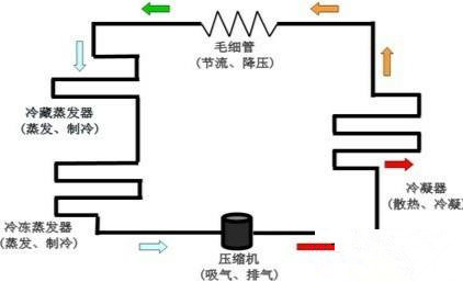 双开门的无霜冰箱背面发热是否正常