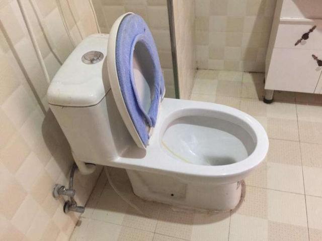 马桶常年有异味？教你这个办法，一周不刷都不臭