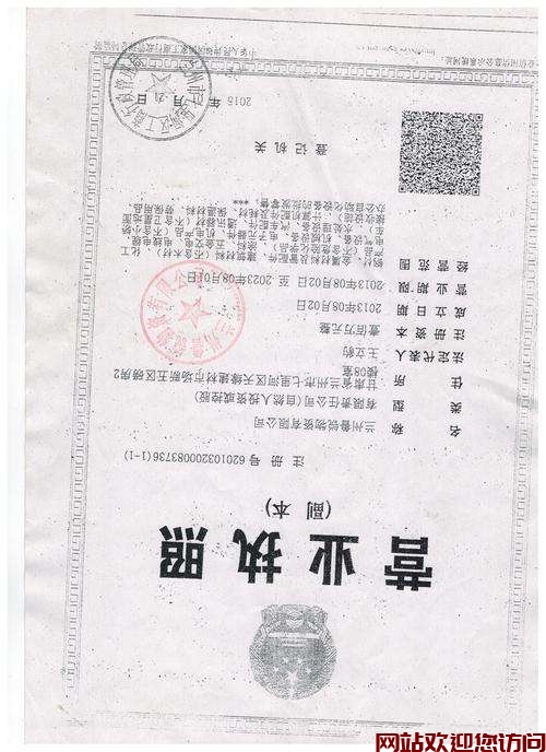 水仙锅炉故障代码P22(菲斯曼锅炉06故障代码维修)插图
