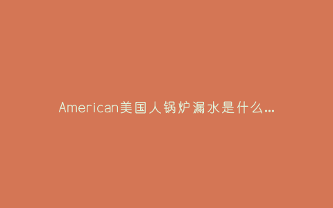American美国人锅炉漏水是什么原因(American美国人锅炉漏水是什么原因)插图 American美国人锅炉漏水是什么原因(American美国人锅炉漏水是什么原因)插图