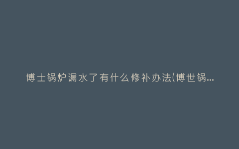 博士锅炉漏水了有什么修补办法(博世锅炉补水补不进去)插图 博士锅炉漏水了有什么修补办法(博世锅炉补水补不进去)插图