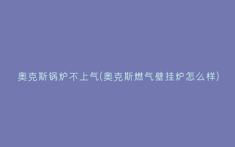 奥克斯锅炉不上气(奥克斯燃气壁挂炉怎么样)插图
