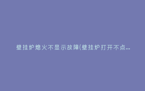 壁挂炉熄火不显示故障(壁挂炉打开不点火也不报故障)插图 壁挂炉熄火不显示故障(壁挂炉打开不点火也不报故障)插图