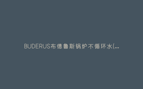 BUDERUS布德鲁斯锅炉不循环水(布德鲁斯锅炉故障排除)插图 BUDERUS布德鲁斯锅炉不循环水(布德鲁斯锅炉故障排除)插图