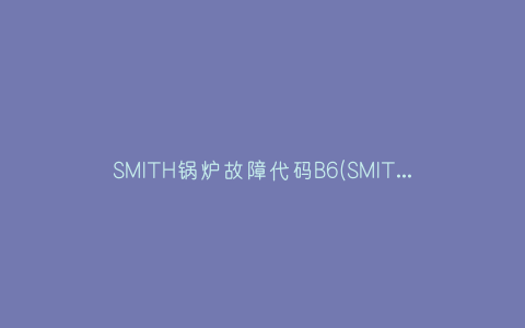 SMITH锅炉故障代码B6(SMITH锅炉故障代码B6)插图