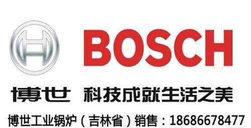 BOSCH锅炉不循环水(bosch锅炉出现ce)插图1 BOSCH锅炉不循环水(bosch锅炉出现ce)插图1