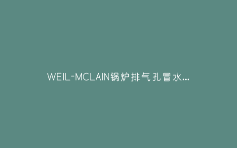 WEIL-MCLAIN锅炉排气孔冒水(WEIL-MCLAIN锅炉排气孔冒水)插图