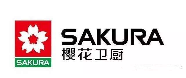 樱花暖通壁挂炉使用方法?樱花壁挂炉e2故障排除插图