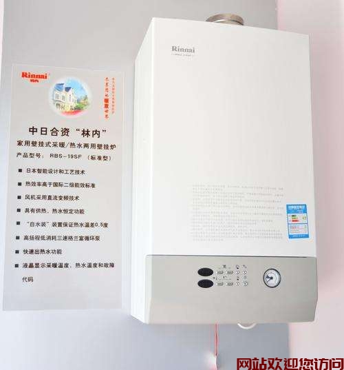 水仙锅炉故障代码B11(燃气热水锅炉故障代码)插图