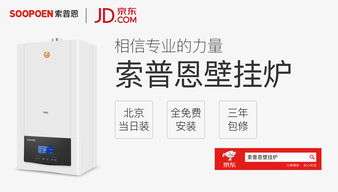 方维壁挂炉故障代码(壁挂炉维修代码)插图