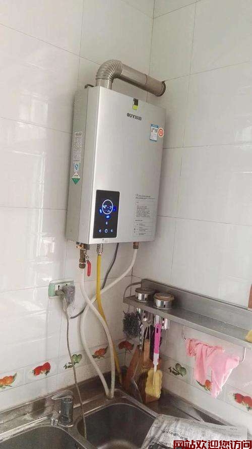 欧意燃气热水器的故障(欧意燃气热水器e0故障原因)插图