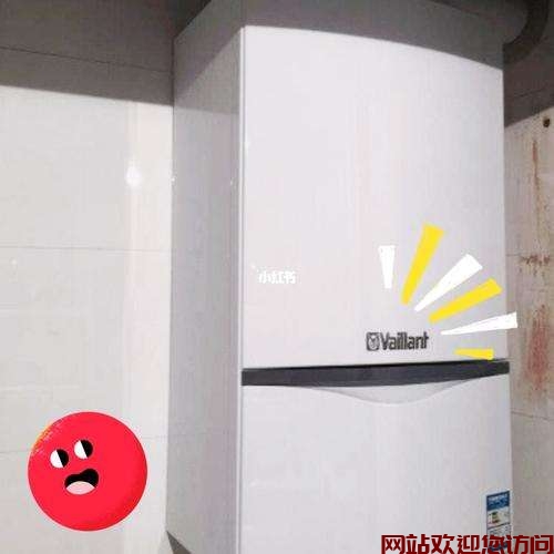 威能热水器显示F15(威能sf4是什么故障代码)插图1