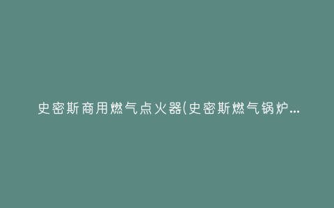 史密斯商用燃气点火器(史密斯燃气锅炉有哪些优势？)插图