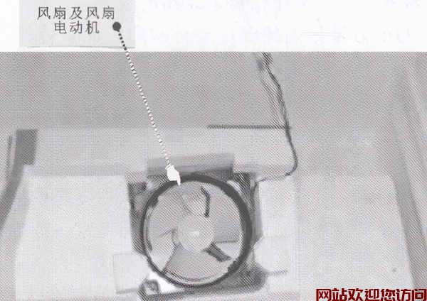 冰箱解冻后不制冷了怎么办_冰箱速冻不冻了怎么办_5插图4