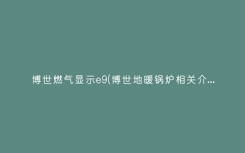 博世燃气显示e9(博世地暖锅炉相关介绍有哪些?)插图 博世燃气显示e9(博世地暖锅炉相关介绍有哪些?)插图