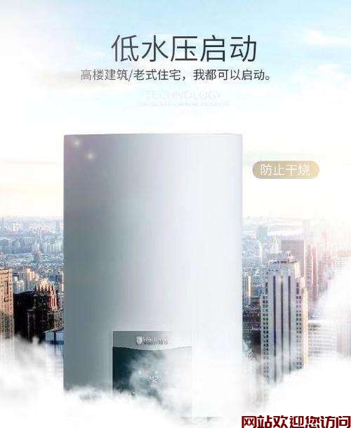 威能热水器闪烁0.5bar(威能壁挂炉0.5bar闪烁?)插图 威能热水器闪烁0.5bar(威能壁挂炉0.5bar闪烁?)插图