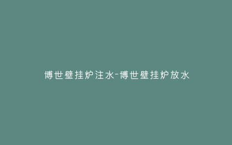 博世壁挂炉注水-博世壁挂炉放水插图