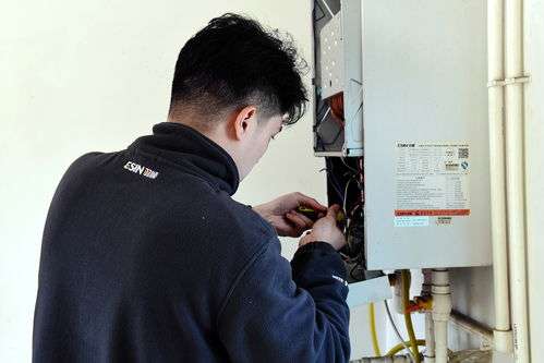 奥格森壁挂炉错误代码(壁挂炉错误代码11)插图 奥格森壁挂炉错误代码(壁挂炉错误代码11)插图