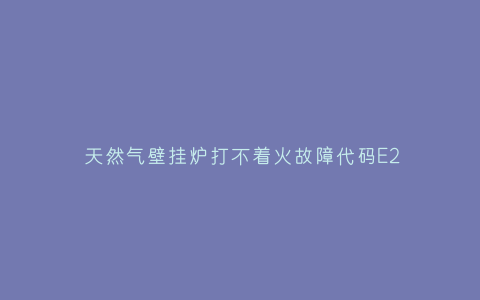天然气壁挂炉打不着火故障代码E2(天然气壁挂炉错误代码E2)插图 天然气壁挂炉打不着火故障代码E2(天然气壁挂炉错误代码E2)插图