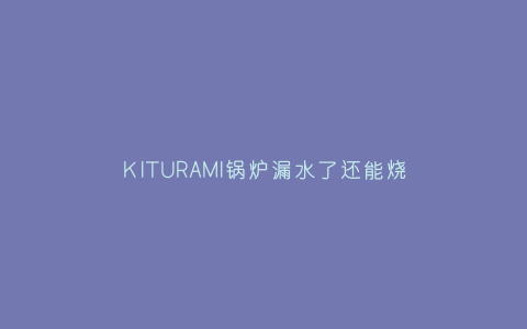 KITURAMI锅炉漏水了还能烧吗会爆炸吗(KITURAMI锅炉漏水了还能烧吗会爆炸吗)插图