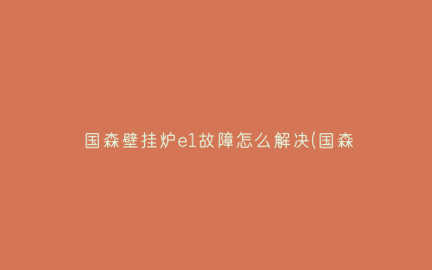 国森壁挂炉e1故障怎么解决(国森壁挂炉e1故障怎么处理)插图