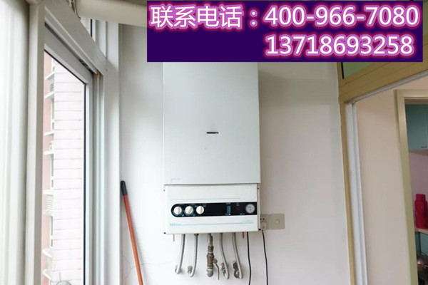 老式八喜壁挂炉eco3说明书?八喜壁挂炉eco3故障码插图