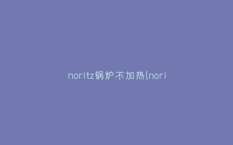 noritz锅炉不加热(noritz热水器怎么加热)插图