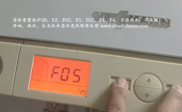 菲斯曼F05故障维修
