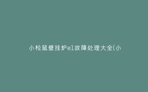 小松鼠壁挂炉e1故障处理大全(小松鼠壁挂炉使用方法E1)插图 小松鼠壁挂炉e1故障处理大全(小松鼠壁挂炉使用方法E1)插图