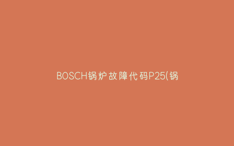 BOSCH锅炉故障代码P25(锅炉e22故障)插图 BOSCH锅炉故障代码P25(锅炉e22故障)插图