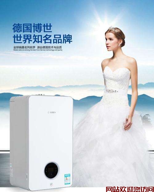 BOSCH博士锅炉不热安循环泵好用吗(博世壁挂炉循环泵不工作)插图3 BOSCH博士锅炉不热安循环泵好用吗(博世壁挂炉循环泵不工作)插图3