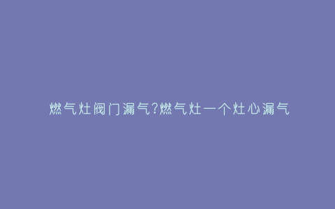燃气灶阀门漏气?燃气灶一个灶心漏气插图 燃气灶阀门漏气?燃气灶一个灶心漏气插图
