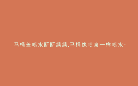 马桶盖喷水断断续续,马桶像喷泉一样喷水-插图 马桶盖喷水断断续续,马桶像喷泉一样喷水-插图