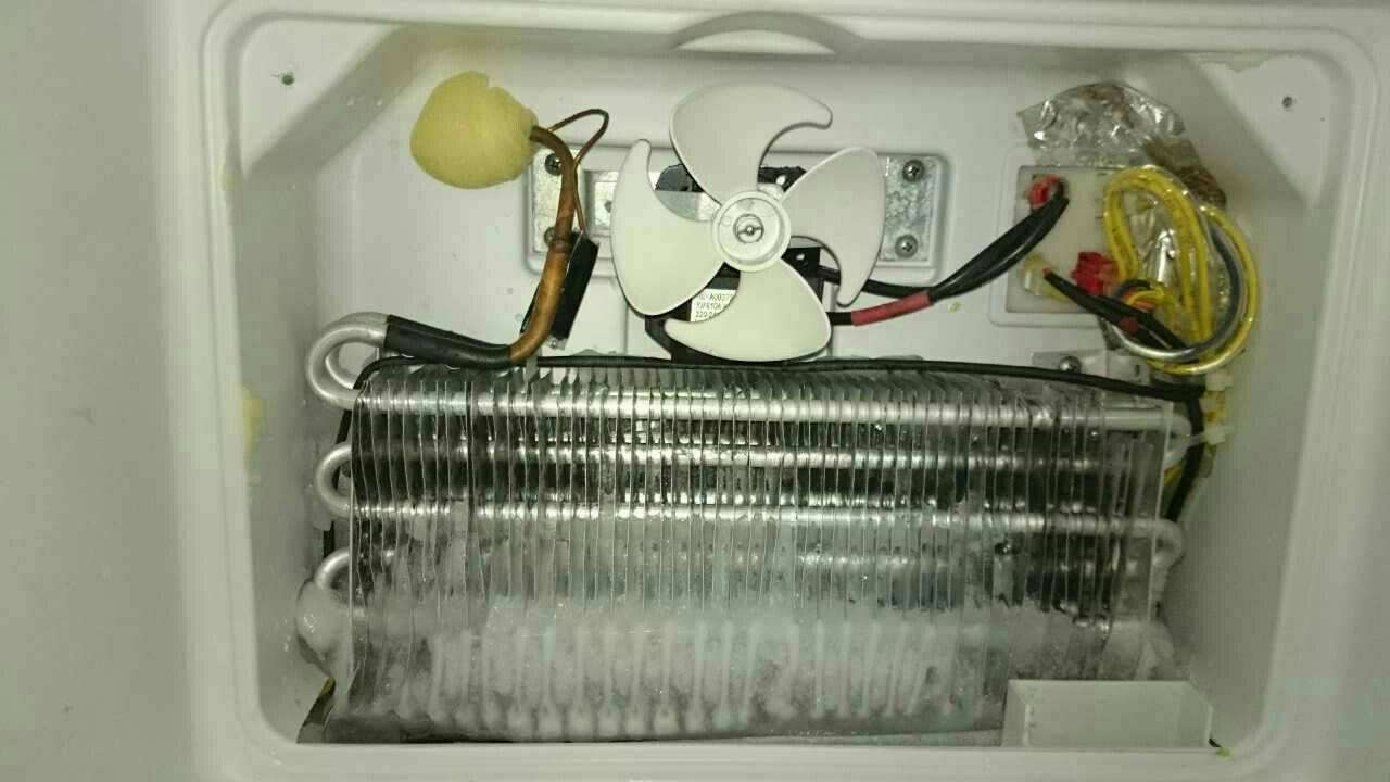 冰箱自动除霜时噪音?冰箱除霜会响吗插图5 冰箱自动除霜时噪音?冰箱除霜会响吗插图5