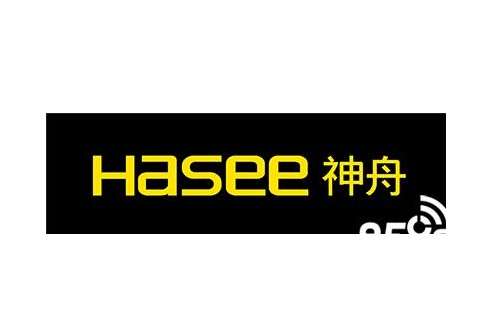 神州壁挂炉显示e4什么意思(神州壁挂炉显示E3)插图